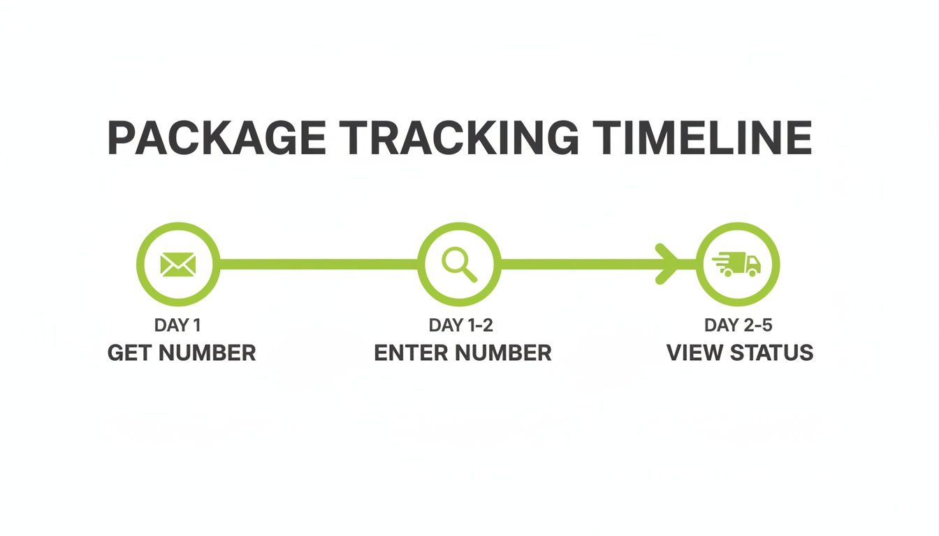 A package tracking timeline visually illustrating three steps: get number, enter number, and view status.